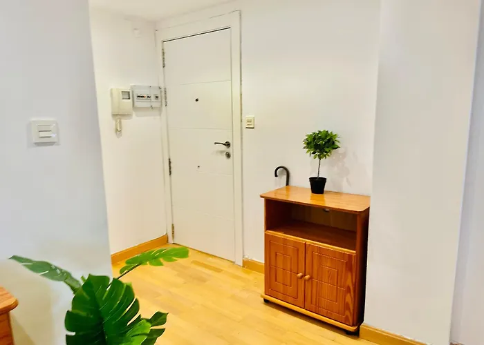 La Ibiza Del Pilar *